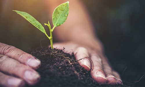 Reducing Water, Waste, Energy